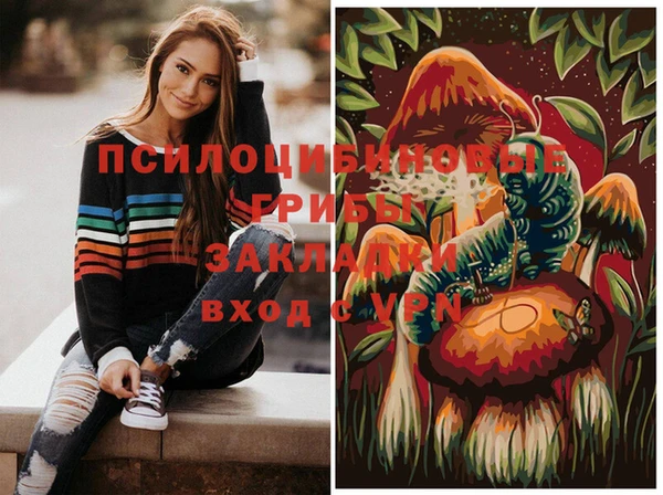 эйфоретик Зерноград