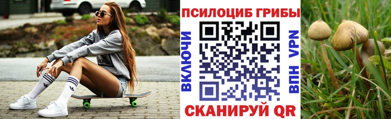 Купить  Ликино-Дулёво  Псилоцибиновые грибы MAGIC MUSHROOMS 